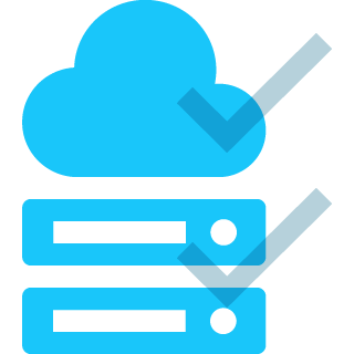 Cloud / Operational Support (MSPs)